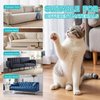 Anti-Cat Scratch Furniture Protector - Clear Vinyl Couch Protector from Cat Claws, Scratch Deterrent Tape for Sofa Corners, Single-Sided Sticky Couch Protector for Cats (200"x 12.4")
