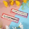 68 Pieces Fake Teeth False Teeth Sets Halloween Complete Acrylic Resin Teeth Denture Dental Teeth Dentures False Teeth False Tooth Kit for Horror Prop DIY Teach Model 6 Sets, 23 A2