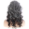 Wiwige Long Curly Wavy Grey Wig for Women Natural Looking Synthetic Halloween Cosplay Costume Wig