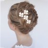 Yokawe Bridal Wedding Hair Pins Silver Bride Hairpin Flower Hair Accessories for Women and Girls （Pack of 5）