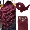 Clip in Hair Extensions Real Human Hair for Women 100% Unprocessed Brazilian Virgin Hair 8 Pcs with 18 Clips Double Weft Clip Full Head Straight Remy Dark Brown Hair (14 Inch,60g,#99J Burgundy)