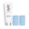 Madison Reed Prime for Perfection, Hair Color Primer, Preps Hair & Creates Smooth Base for Flawless Color, Gentle & Nourishing Formula, 4 Fl Oz (118 mL)