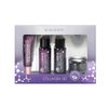 MIZON Collagen Mini Set to Improve Skin's Elasticity, Wrinkle Care, Daily Moisturizing Formula, Korean skin care, Gift Set, Travel Skincare Set (Set 1 (Toner+Emulsion+Eye Cream+Face Cream))
