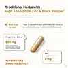 SANDHUHERBALS Organic Ashwagandha Capsules 120 Count | 4 in 1 with Zinc, Black Pepper & Holy Basil Extract | Supports Immune Health | Non-GMO | for Men & Women | 2 Months Supply