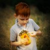 JOiFULi Make Your Own Dinosaur Lantern Toy Night Light Kit Craft for Boys or Girls Ages 6 7 8 9 10 Years Old