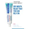 SALIVEA Dry Mouth Toothpaste - Soothing Mint Toothpaste with Natural Salivary Enzymes - Gentle Toothpaste to Aid Dry Mouth Care - Natural, Paraben Free Dry Mouth Toothpaste - Mint Flavor (2 Pack)