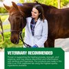 Ramard Total Tendon Repair –Advanced Powder Supplement with Vitamin C, Collagen, and MSM for Horse Joint, Ligament, and Tendon Support - Supplements for Elasticity and Strength – 30 Day Supply