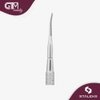STALEKS PRO Expert PE 60/3 Ingrown Nail Lifter Pedicure Tool Surgical Grade Stainless Steel for Home Personal Use Durable (INGROWN TOENAIL LIFTER + STRAIGHT FILE)