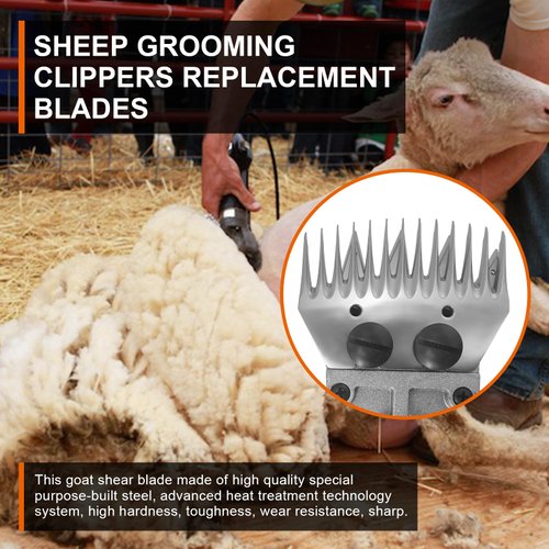 YAZIYIR Sheep Grooming Clippers Replacement Blades Compatible with Oster/Lister/Heiniger/GDJOB/BEETRO/Dragro/TAKEKIT Sheep Clippers for Thick Coat Animals,Made of Stainless Steel (13 Tooth(2 PCS))
