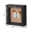 6x6 Square Shadow Box, Display Size 5x5 Shadow Box Frame with Glass, Small Shadow Box Display Case with Hinge and Magnetic Door for Shells Taxidermy Keepsake Photos Tickets Coins-Weathered Black