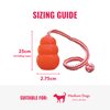 KONG Aqua Floating Fetch Toy - Dog Floating Toy for Water Retrieval, Play, Exercise & More - Natural Rubber Dog Toy with Foam Interior & Rope for Farther Throwing - Orange, for Medium Dogs