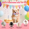 SCENEREAL Dog Birthday Squeaky Toy Set, 5 Pcs Stuffed Plush Pet Toys Birthday Gift for Dogs Boys and Girls Birthday Party, Cute Durable Interactive Puppy Teething Chew Toys for Small Medium Dogs