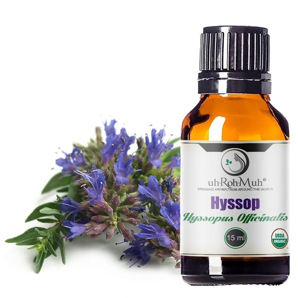 uh*Roh*Muh Organic Hyssop Essential Oil with Fresh Floral Scent, 100% Pure & Natural Essential Oil for Aromatherapy, Home Essential Diffuser Oil - USDA Certified Organic 15ml