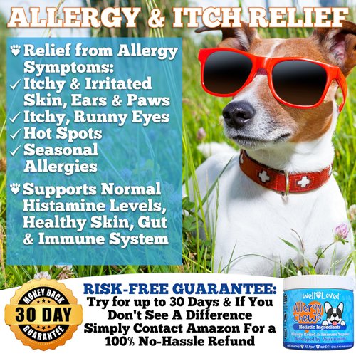 Well Loved Dog Allergy Chews - Dog Allergy Relief, Made in USA, Vet Developed, Hot Spot Treatment for Dogs, Dog Itch Relief, Anti Itch for Dogs, Dog Vitamins, Dog Skin Allergies Treatment, 120 Count