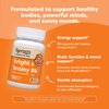 Renzo's Bright & Brainy Vitamin B6, Dissolving Kids Vitamin B6, 60 Sugar-Free Melty Tabs, Oh Oh Oh Orange Flavored
