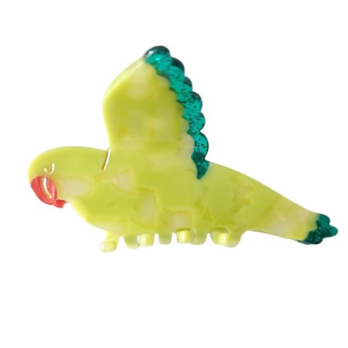 OMG Decor Parrot Claw Clip,Acetate Hair Clips,Small Claw Clips for Women