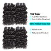 Water Wave Human Hair Bundles Ocean Wave Wet and Wavy Bundles UDU Malaysian 50g 1B# Human Hair Extensions Remy Hair Bundles Short Curly Hair (8 8 8 8inch without cloure)