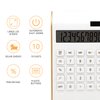 Calculator, 10 Digits Solar Battery Basic, Dual Powered Desktop Calculator, Tilted LCD Display, Inclined Design Slim Desk Calculator by Sportsvoutdoors (White)