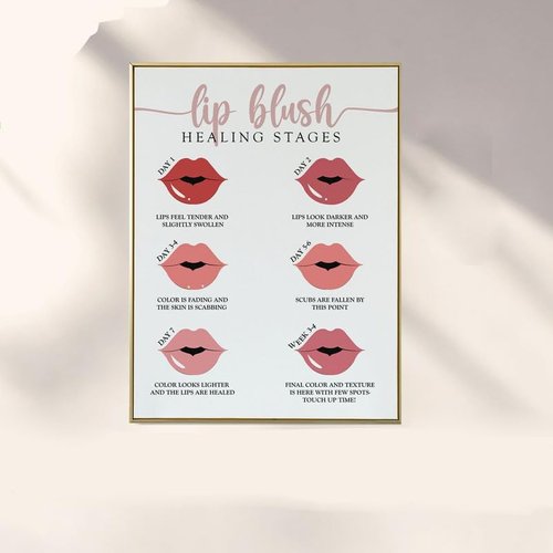 Lip Blush Healing Stage Poster, Permanent Makeup, Beauty Salon Wall Art Decor, Medical Illustration Of Lip Blush Healing Stage, Stages Of Lip Blush Healing Diagram Vertical Poster And Canvas