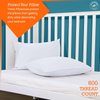 Toddler Travel Pillow Cases Pack of 2, 100% Egyptian Cotton 600 Thread Count with Zipper Closure Small Pillowcase Cover Toddler 13" Wx18 L, White Striped