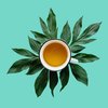Ti Kuan Yin Oolong, Loose Leaf Tea - Caffeinated, Pure Taiwan, Unflavored | bulk 8oz, 80-100 cups | The Spice Hut, First Sip of Tea