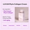 LUVUM Phyto Collagen Moisturizer - Anti-Aging & Skin Elasticity - Plant-Based Collagen for Firming & Smoothing - Collagen Night Cream - Facial Moisturizer for Radiant Skin, 1.69 fl. oz