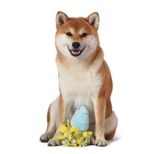 Peeps for Pets Plush Chick Fleece Bottom Dog Toy in Blue and Yellow Blue Peeps Chick Dog Toys, Small Plush Dog Toys with Squeaker Soft and Squeaky Dog Toy for Pets