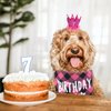 Dog Birthday Bandana - Girl Dog Birthday Hat with Number - Dog Birthday Supplies for Small and Medium Dog Pet