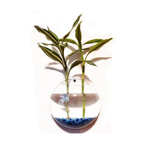 ACJRYO 2Pack Wall Hanging Fish Tank,Mounted Fish Bowl Betta Tank Fish Plant Tanks Hanging Fish Bowl Plant Vase Home Decoration Pot