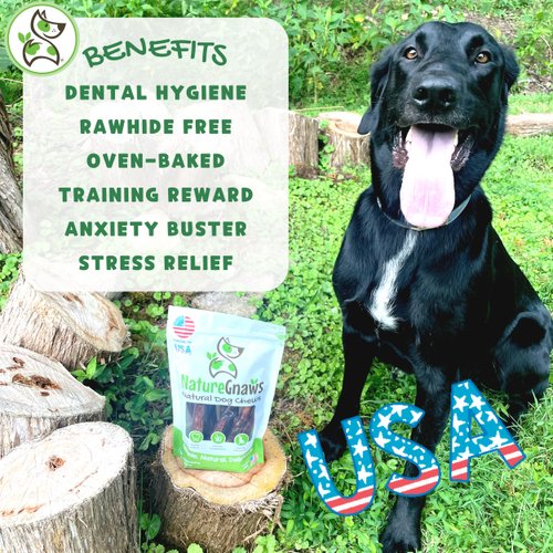 Nature Gnaws Steer Sticks - Bully Sticks for Dogs - Great for Small, Medium and Large Dogs - Made in USA, Single Ingredient - Natural Long Lasting Chew Sticks - Rawhide Free Bully Bones - 8oz