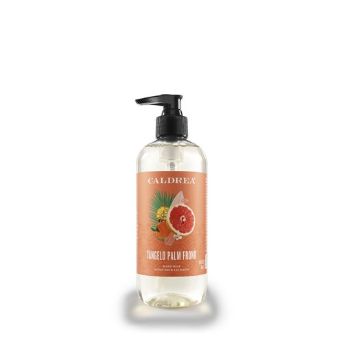 Caldrea Hand Wash Soap, Aloe Vera Gel, Olive Oil And Essential Oils To Cleanse And Condition,Tangelo Palm Frond Scent, 10.8 Oz