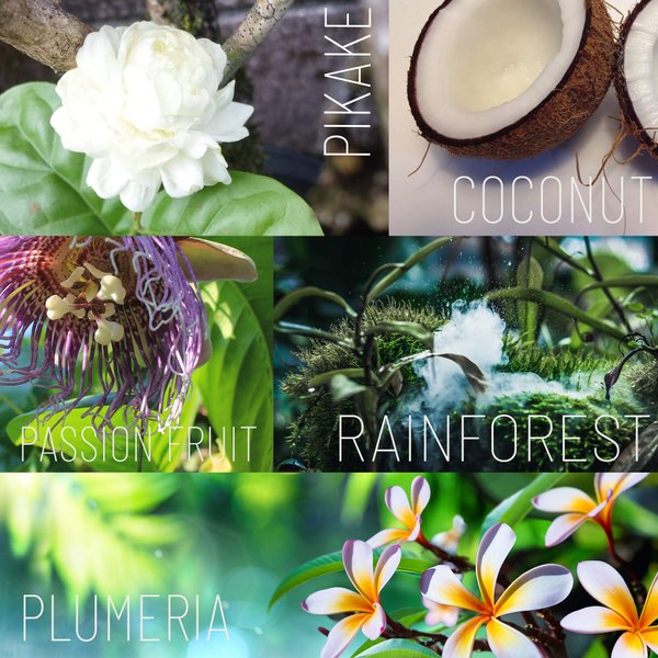 Tropical Apothecary Ola Coconut Body Butter with Pure Tropical Oils and Plant Extracts - 2.1oz