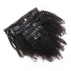 Kinky Curly Clip in Hair Extensions Natural Brazilian Curly African American Clip in Human Hair Extensions