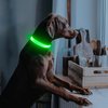 Illumifun LED Dog Collar, USB Rechargeable Light Up Dog Collars, Adjustable Safety Dog Collar Light for Your Dogs Walking at Night (Green, Medium)