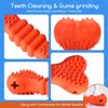 Nobleza Dog Chew Toy, Durable Treat Dispensing Dog Chew Toys, Safe Natural Rubber Dog Bone Toy for Teething and Teeth Cleaning of Small and Medium Breeds, 6 * 2.1 * 1.3 in, Orange