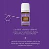 Young Living - Envision Essential Oil Blend 5 ml | Ideal for Aromatherapy for Creativity & Awakening Your Inner Drive | Emotional Balance Support | Inspiring Aroma