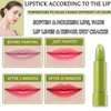 DWDiWen 4 Pcs Avocado Color Changing Lipstick for Women,PH Mood Magic Lipstick Makeup Gift Set,Waterproof Lip Moisturizer Pigmented Long Lasting Tinted Color Change Labiales Lip Gloss Balm Stain