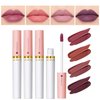 MEICOLY Matte Waterproof Liquid Lipstick Cigarettes Set Kit,4 Colors Lip Stain,Smoke Tube Cigarette Lipstick,Long Lasting Lip Gloss Lip Tint,Matte Lip Makeup for Women Girls,Set 2