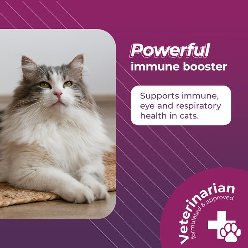 VetriScience Vetri Lysine Plus - 120 Chews - Immune Support Cat Supplements and Vitamins with L-Lysine and DMG for Immunity and Respiratory Health​