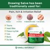 OWELL Naturals Drawing Salve Ointment 1oz, ingrown Hair, Boil, Splinter Remover, Bug Spider Bites, bee Sting, Mosquito bite Itch, Poison Ivy
