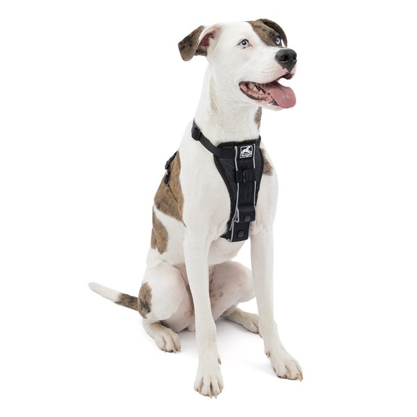 Kurgo Tru-Fit Smart Harness, Dog Harness, Pet Walking Harness, Quick Release Buckles, Front D-Ring for No Pull Training, Includes Dog Seat Belt Tether (Black, Medium)