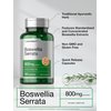 Horbäach Boswellia Serrata Extract Capsules | 800mg | 120 Count | Herbal Supplement | Non GMO, Gluten Free