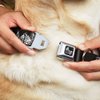 Dog Collar Seatbelt Buckle Buckle Down Shapes Black Camo White Black 13 to 18 Inches 1.5 Inch Wide