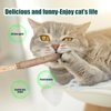 PEUTIER 2pcs Silicone Collar Cat Toys & 3pcs Cat Teasing Wands, Adjustable Cat Wand Toy Cat Feather Toys Catnip Chew Toys Silvervine Sticks Interactive Cat Teaser Toys for Indoor Cat Kitten Exercise