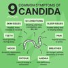 Dr. Siti Candisite Gummies | Candida Support Gummies for Gut Health Support | 10-in-1 Advanced Formula - Wormwood, Black Walnut, PAU D’Arco | Supports Digestive & Microbial Balance