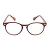 IB The Actor BIFOCAL Unisex Round Reading Glasses, Readers for Men and Women, Dark Brown and Tortoise +2.50