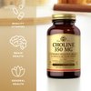 Solgar Choline 350 mg - 100 Vegetable Capsules, Pack of 2 - Non-GMO, Vegan, Kosher - 200 Total Servings