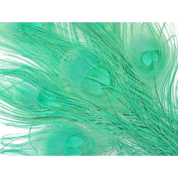5 Pieces - Aqua Green Bleached & Dyed Peacock Tail Eye Feathers Halloween Craft Supply | Moonlight Feather