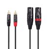 Cable Matters Dual RCA to XLR Unbalanced Interconnect Cable 10 ft, 2 RCA to XLR Male Cable (Dual XLR to RCA Cable) - 10 Feet