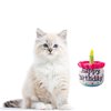 Ushang Pet Happy Birthday Cake Catnip Toys, Birthday Cake Shaped Chew Toys for Kitten Funny Cats Gifts Plush Cat Birthday Party Toys, Pink